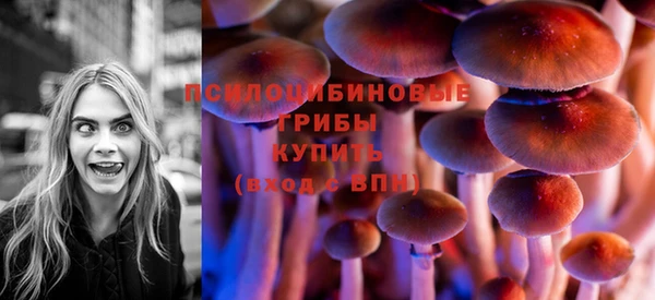 кокс Гусь-Хрустальный