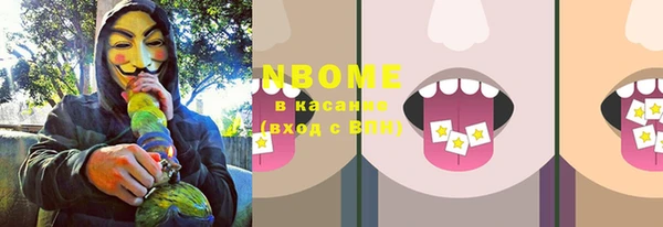 apvp Гусиноозёрск