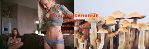apvp Гусиноозёрск
