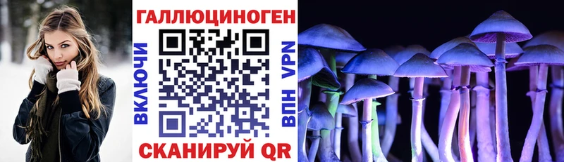 Псилоцибиновые грибы GOLDEN TEACHER закладка Серпухов
